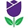 По цвету тюльпанов